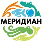 Меридиан